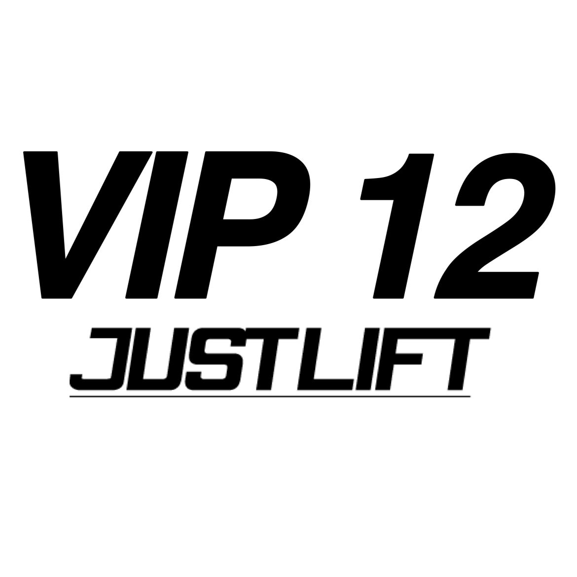 COACHING VIP ( 12 MESI )